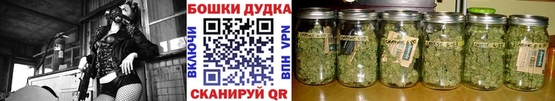 где продают наркотики Нурлат Конопля семена